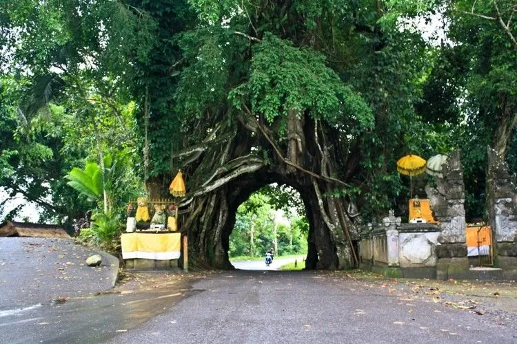 7 Destinasi Horor dan Misterius di Bali yang Perlu Kamu Kunjungi. Bali Nggak Cuma Party! 15
