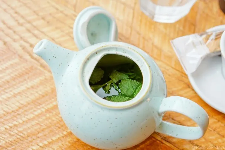 10+ Khasiat Rahasia Daun Spearmint yang Bisa Kamu Manfaatkan. Harga Murah tapi Manfaatnya Segudang! 15