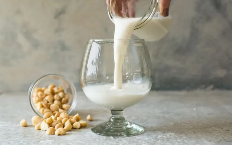 9 Pilihan Alternatif Susu SELAIN Sapi yang Tak Kalah Bernutrisi. Cocok Buat yang Lagi Diet Atau Alergi 16