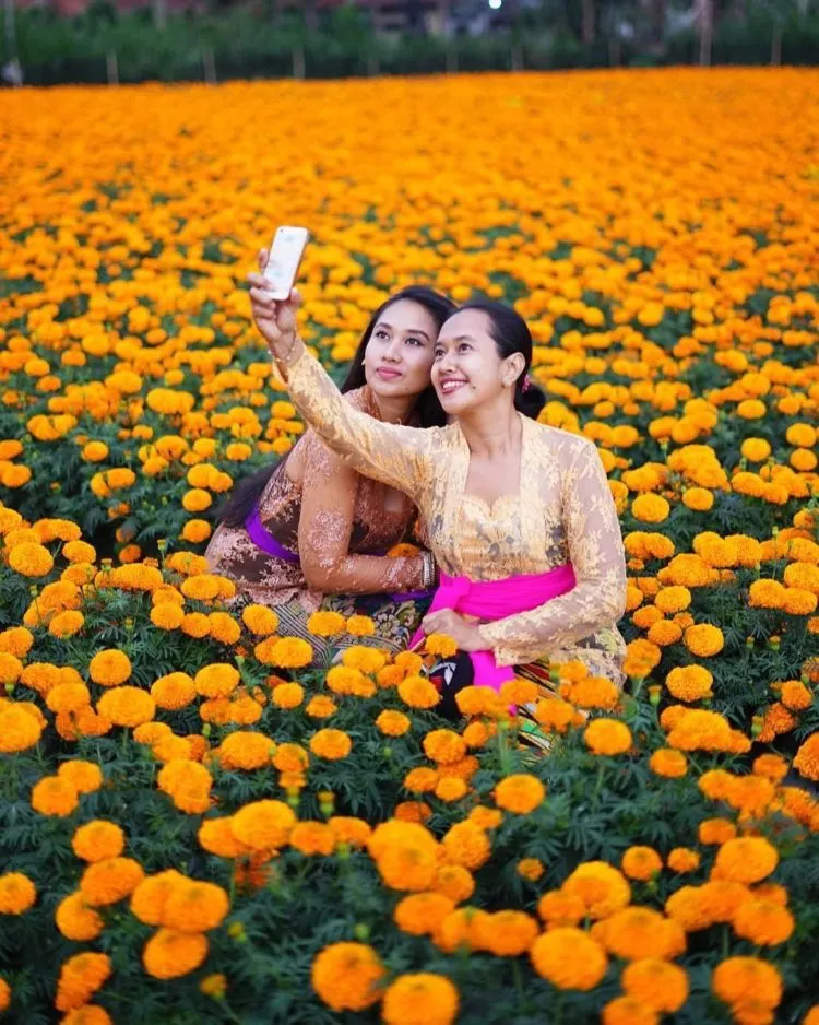 Gemitir Garden, Taman Bunga Marigold yang Instagramable di Bali. Jadi Pengen ke Bali Lagi Nih! 5
