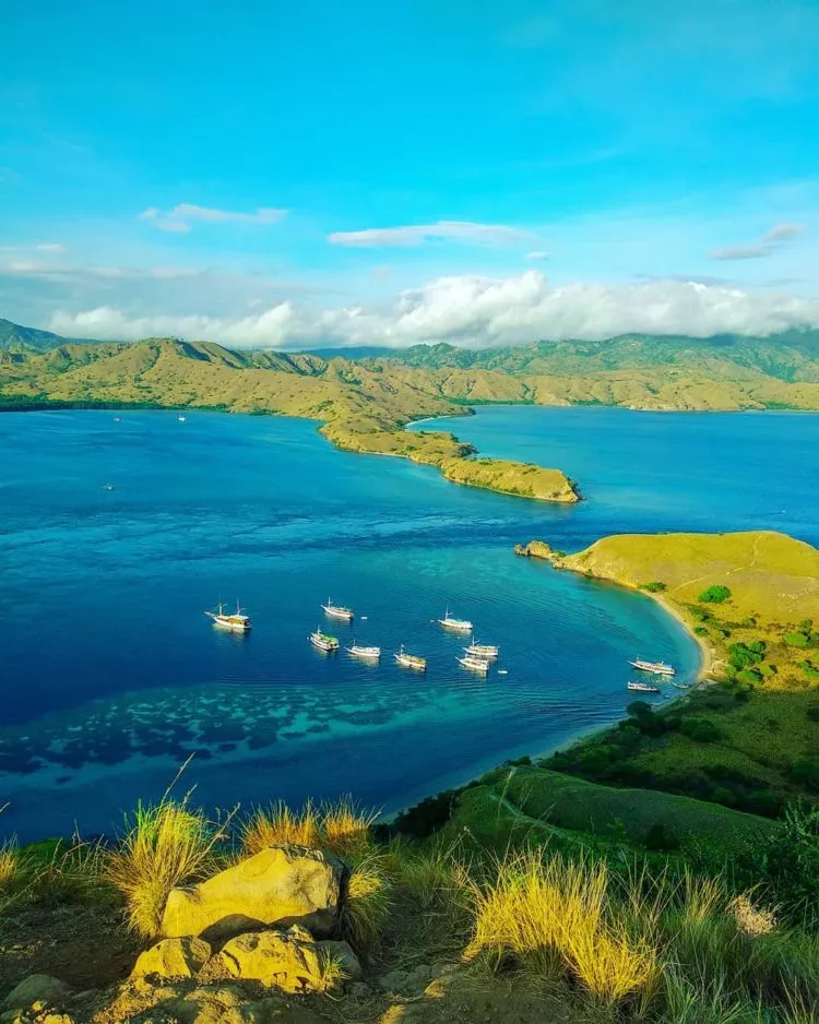 Tragis, Gili Lawa di TN Komodo Hangus Terbakar. Pulau Indah Nan Hijau Berubah Jadi Hitam! 4
