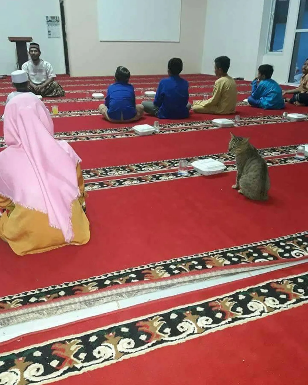 17 Hewan ini Mainnya Terlalu Jauh. Penasaran Nggak sih, kok Bisa Sampai di Sana? :D 34