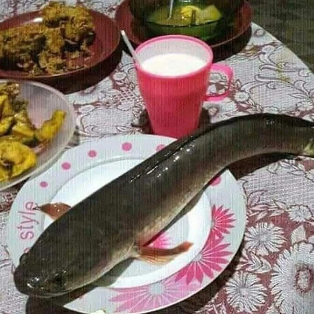 17 Hewan ini Mainnya Terlalu Jauh. Penasaran Nggak sih, kok Bisa Sampai di Sana? :D 30