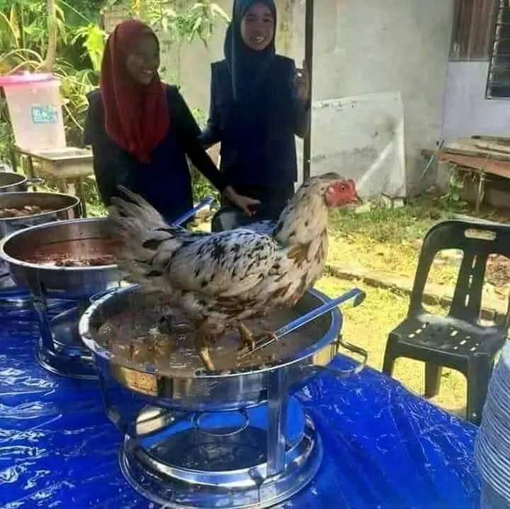 17 Hewan ini Mainnya Terlalu Jauh. Penasaran Nggak sih, kok Bisa Sampai di Sana? :D 28
