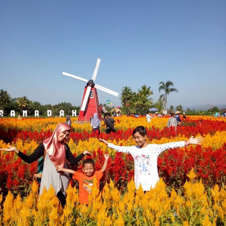 Taman Ramadanu Magelang, Destinasi Wisata Bunga Kekinian yang Bikin Enggan Pulang 8