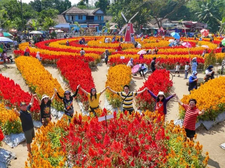 Taman Ramadanu Magelang, Destinasi Wisata Bunga Kekinian yang Bikin Enggan Pulang 13