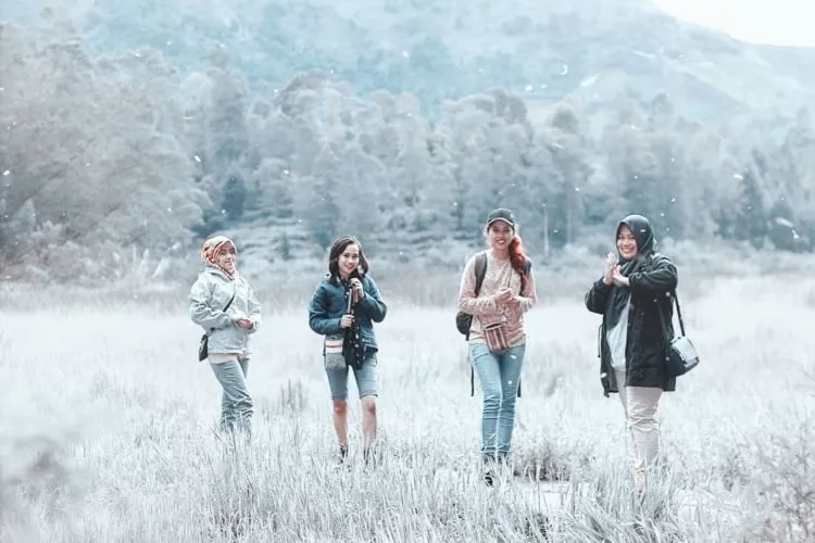 Potret Dinginnya Dieng Saat Event Dieng Culture Festival 2018. Brrr, Dieng Membeku Saat Itu! 14