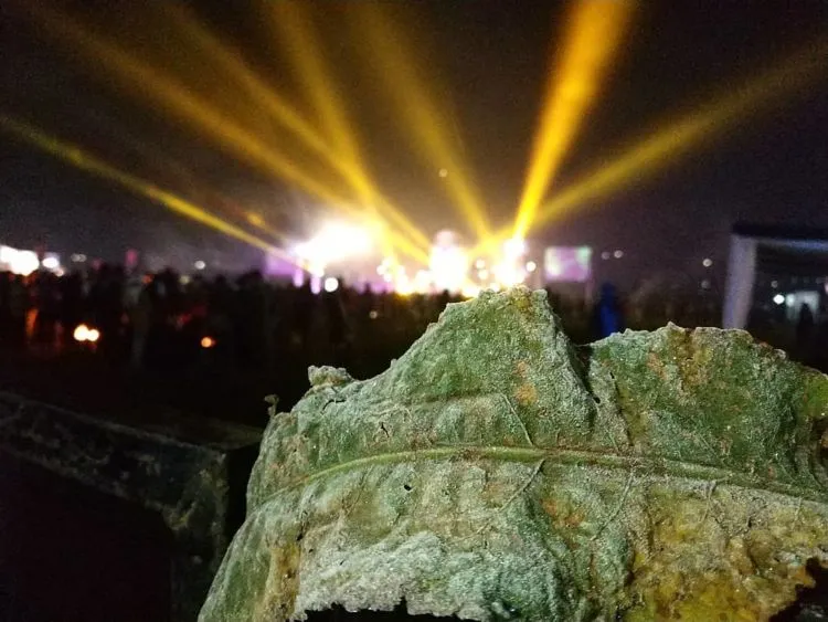 Potret Dinginnya Dieng Saat Event Dieng Culture Festival 2018. Brrr, Dieng Membeku Saat Itu! 13
