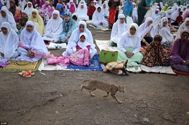 10+ Potret Idul Adha di Berbagai Negara. Beda-beda Tapi Makna Berkurban dan Saling Berbaginya Sama 15