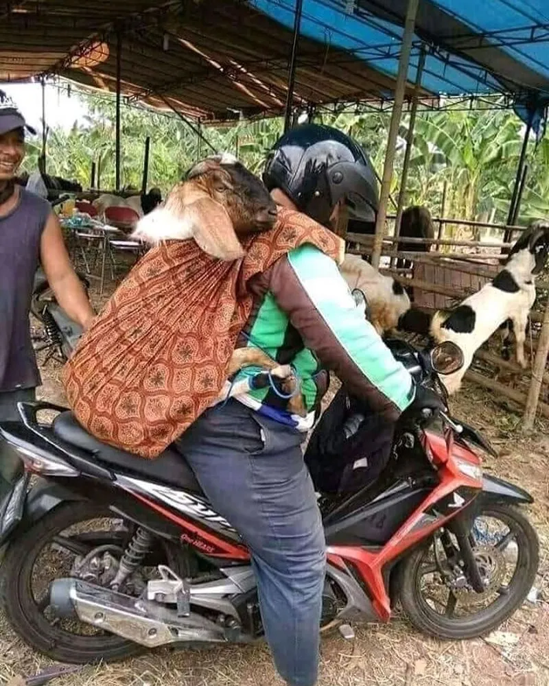 15 Momen Berat Abang Ojol Saat Antar Pesanan Nggak Logis. Dari Kasur Sampai Kulkas, Dibawa Pake Motor! 17