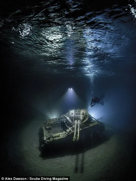 13 Foto Pemenang Underwater Photo Contest Ini Sungguh Luar Biasa dan Bikin Berdecak Kagum! 18