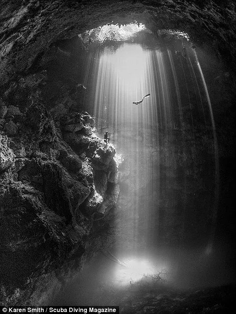 13 Foto Pemenang Underwater Photo Contest Ini Sungguh Luar Biasa dan Bikin Berdecak Kagum! 19