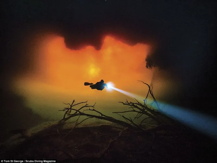 13 Foto Pemenang Underwater Photo Contest Ini Sungguh Luar Biasa dan Bikin Berdecak Kagum! 20