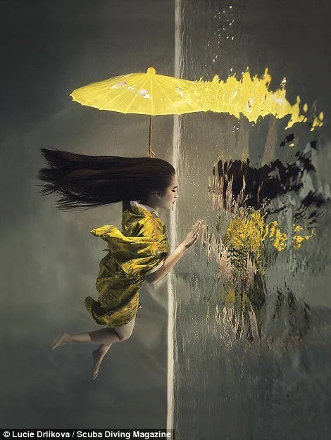 13 Foto Pemenang Underwater Photo Contest Ini Sungguh Luar Biasa dan Bikin Berdecak Kagum! 22