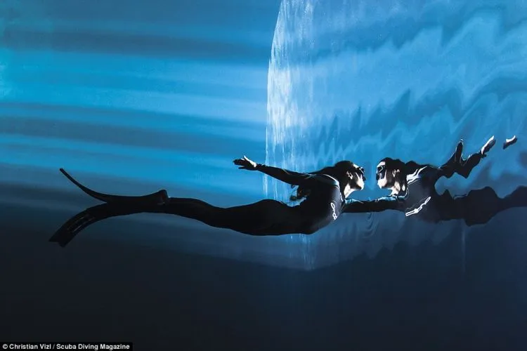 13 Foto Pemenang Underwater Photo Contest Ini Sungguh Luar Biasa dan Bikin Berdecak Kagum! 23