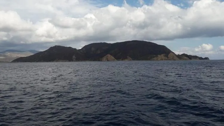 Tragis, Gili Lawa di TN Komodo Hangus Terbakar. Pulau Indah Nan Hijau Berubah Jadi Hitam! 3
