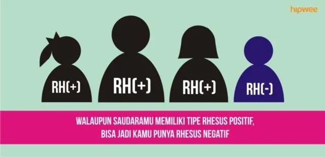 10 Fakta Pentingnya Tahu Tipe Rhesus Darah Kalian, Bukan Cuma Golongan Darah ABO Doang 17