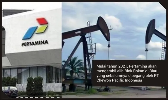 11 Berita Populer Minggu Ini. Dari Kelahiran Cucu Jokowi Hingga Meninggalnya Atlet Tinju Indonesia 13