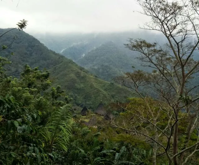 Sensasi Menginap di Negeri Dongeng Wae Rebo, Flores. Begini Panduan Berlibur ke Sana! 6