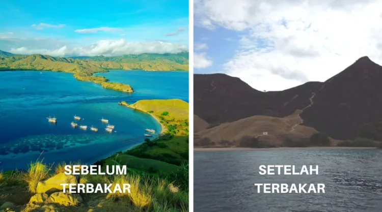 8 Kerusakan Alam yang Diakibatkan oleh Ulah Manusia di Tahun 2018. Miris Banget Sih Lihatnya! 9