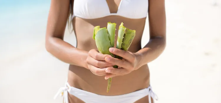 Aloe Vera Disebut-sebut Ampuh Atasi Sunburn. Fakta atau Hanya Sebatas Sugesti Saja? 9