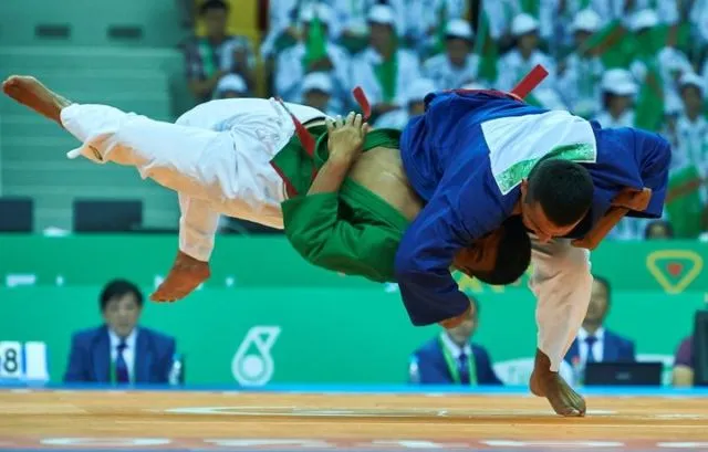 Perbedaan Seni Bela Diri yang Dilombakan di Asian Games 2018. Pahami, Biar Tambah Asyik Nontonnya 14