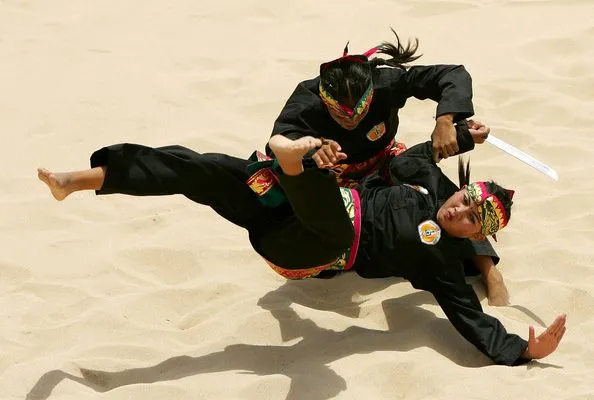 Perbedaan Seni Bela Diri yang Dilombakan di Asian Games 2018. Pahami, Biar Tambah Asyik Nontonnya 16