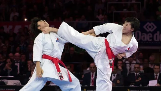 Perbedaan Seni Bela Diri yang Dilombakan di Asian Games 2018. Pahami, Biar Tambah Asyik Nontonnya 17