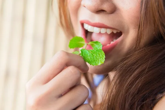 10+ Khasiat Rahasia Daun Spearmint yang Bisa Kamu Manfaatkan. Harga Murah tapi Manfaatnya Segudang! 14