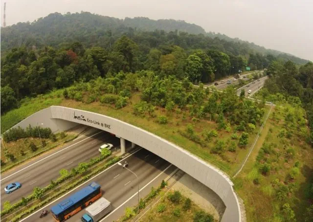 Bukan Zebra dan Pelican Cross Aja, Ini 7 Jenis Penyebrangan Jalan Lain. Uniknya Semua Nama Hewan Lho 20