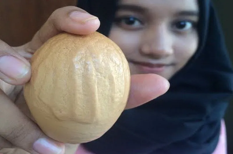 Selain Daging Kurban, 10 Lafaz Allah Juga Pernah Ditemukan oleh Masyarakat dalam Berbagai Bentuk 15