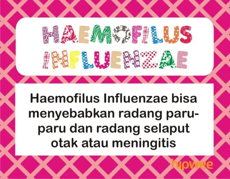 9 Penyakit Berbahaya yang Sukses Ditaklukkan Vaksin, Penting Buat Keberlangsungan Hidup Manusia 16