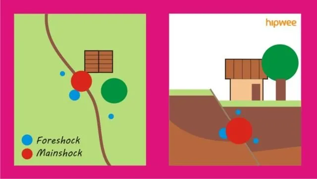 Inilah Bedanya Gempa Bumi Foreshock, Mainshock, dan Aftershock. Kenali Biar Bisa Lebih Waspada 8