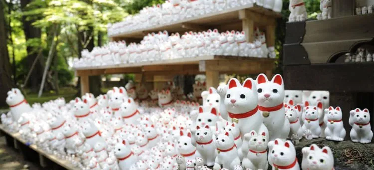 5 Fakta Unik Patung Kucing Melambai Pembawa Keberuntungan. Yang Banyak Ditemui di Toko-toko Itu Lho 7