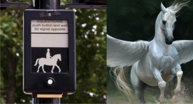 Bukan Zebra dan Pelican Cross Aja, Ini 7 Jenis Penyebrangan Jalan Lain. Uniknya Semua Nama Hewan Lho 15
