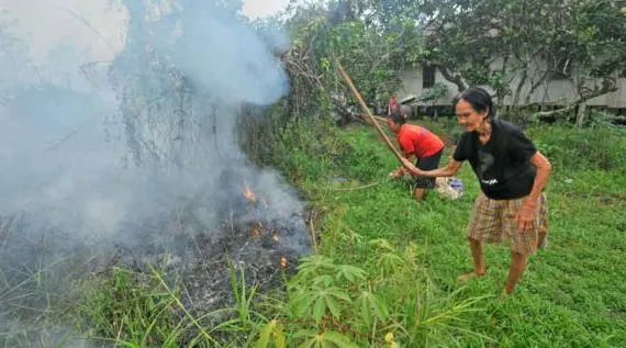Pontianak Sedang Darurat Kabut Asap. Lihat Deh Parahnya Bencana yang Banyak Luput dari Perhatian Ini 20