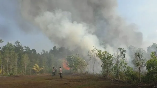 Pontianak Sedang Darurat Kabut Asap. Lihat Deh Parahnya Bencana yang Banyak Luput dari Perhatian Ini 14