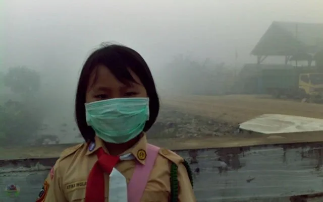 Pontianak Sedang Darurat Kabut Asap. Lihat Deh Parahnya Bencana yang Banyak Luput dari Perhatian Ini 16