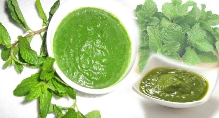 10+ Khasiat Rahasia Daun Spearmint yang Bisa Kamu Manfaatkan. Harga Murah tapi Manfaatnya Segudang! 16