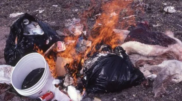 Ini Alasan Kenapa Kita Harus Beneran Stop Bakar Sampah. Selain Bahaya, Bisa Bikin Masuk Bui Juga 17