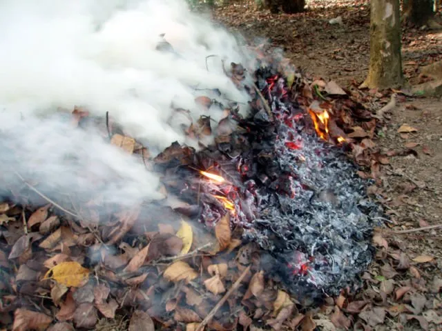 Ini Alasan Kenapa Kita Harus Beneran Stop Bakar Sampah. Selain Bahaya, Bisa Bikin Masuk Bui Juga 13