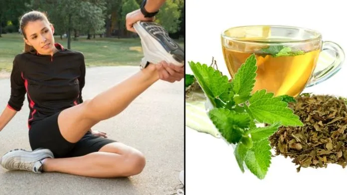 10+ Khasiat Rahasia Daun Spearmint yang Bisa Kamu Manfaatkan. Harga Murah tapi Manfaatnya Segudang! 19