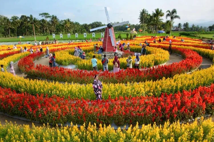 Taman Ramadanu Magelang, Destinasi Wisata Bunga Kekinian yang Bikin Enggan Pulang 10