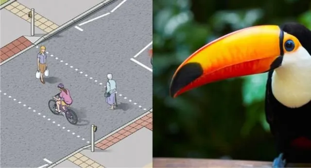 Bukan Zebra dan Pelican Cross Aja, Ini 7 Jenis Penyebrangan Jalan Lain. Uniknya Semua Nama Hewan Lho 14