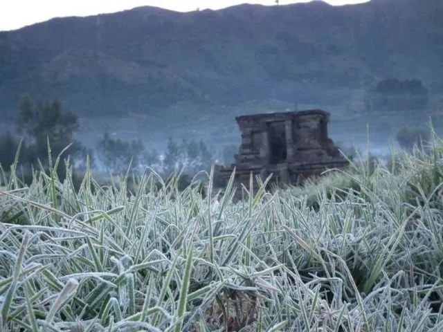 12 Potret Cuaca Esktrem Dunia yang Terjadi Saat Ini. Dari Dieng Beku, Sampai Tornado Api di Inggris 14