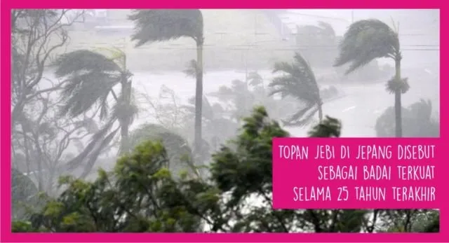 Dari Roy Suryo Ditagih Kembalikan Karpet sampai Seleksi CPNS. Inilah 15 Berita Populer Minggu Ini 25