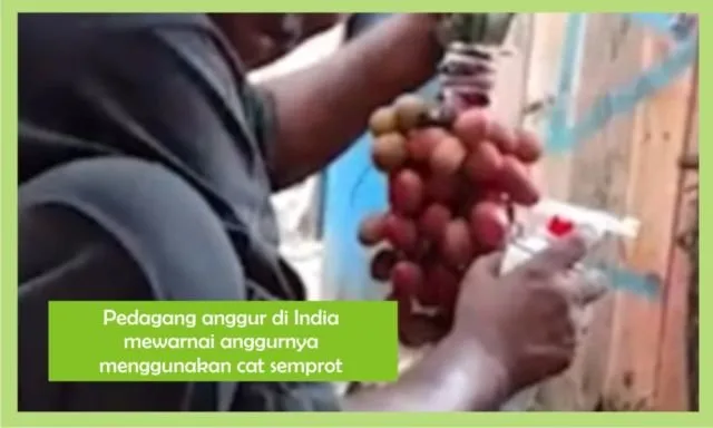 Dari Kontroversi Iklan Jokowi Hingga Gebrakan Ridwan Kamil. Inilah 10 Berita Penting Minggu Ini 20