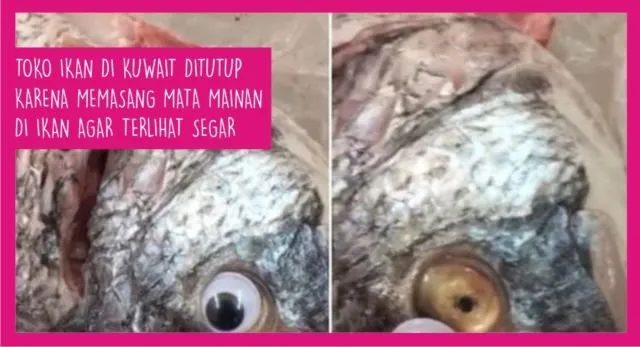 Dari Roy Suryo Ditagih Kembalikan Karpet sampai Seleksi CPNS. Inilah 15 Berita Populer Minggu Ini 29