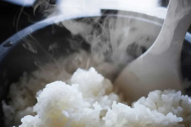 8 Trik Menanak Nasi di Rice Cooker Agar Pulen dan Nggak Gampang Basi 16