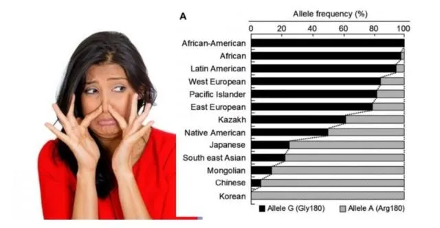 5 Alasan Kenapa Orang Asia Timur Nggak Bau Meski Tidak Pernah Pakai Deodoran. Terutama Korea Selatan 10